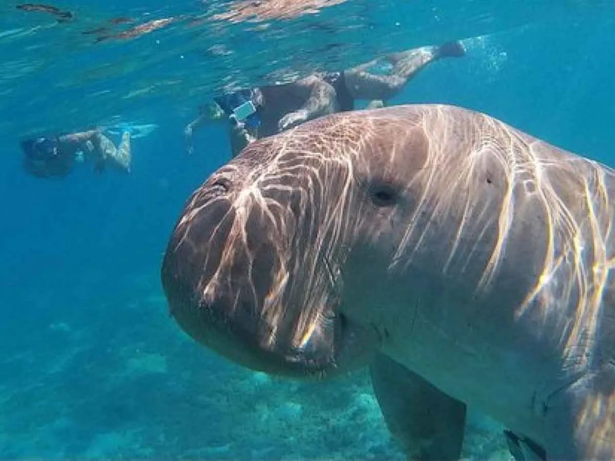 Marsa Alam