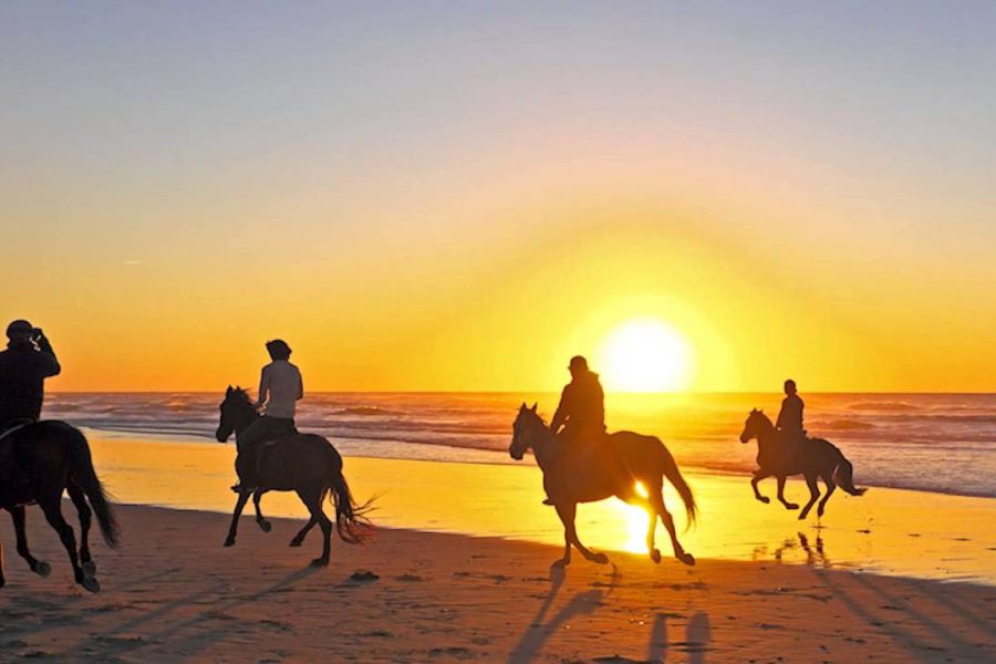 Výlet Projížďka na koni z Hurghady